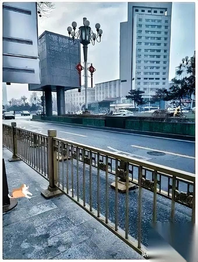 “孝顺=转账？”我按下暂停键。5000块一停，大哥电话秒到：“赶紧补上，