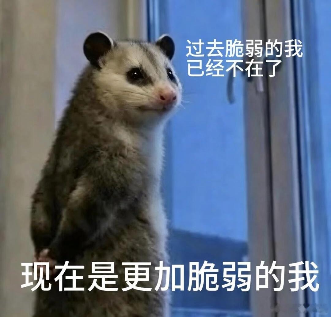我隔三个月得去开中药，但是对我来说，挂号拿药去医院这些事我觉得太麻烦了，特别是喝