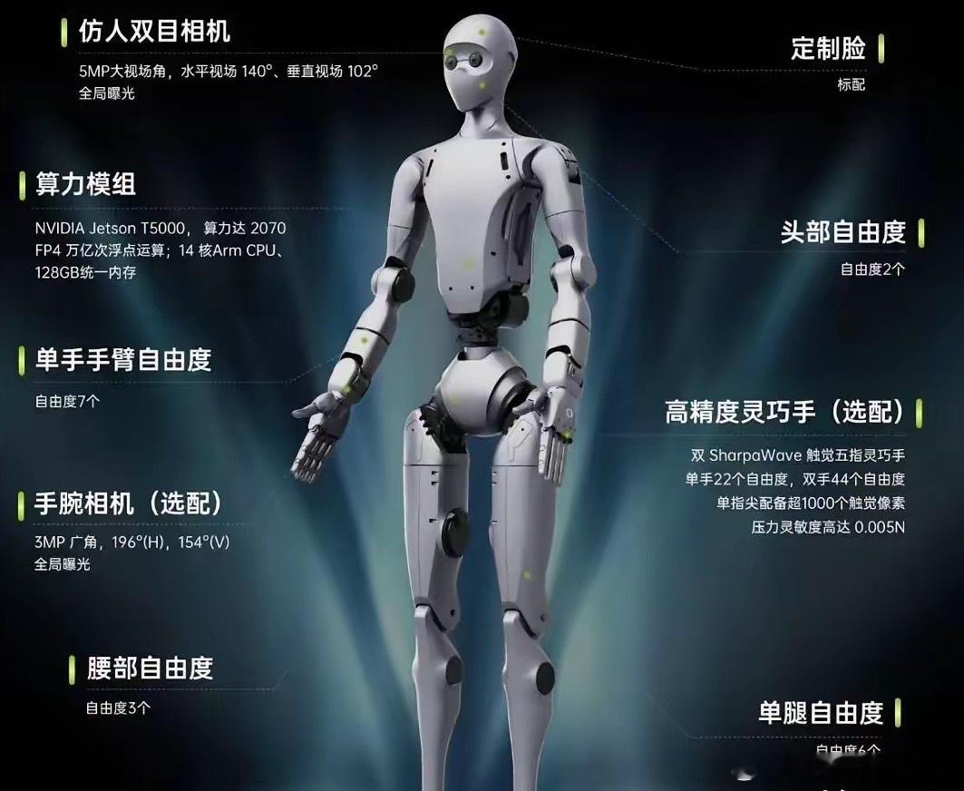 现在某树科技，最大的问题就是人工智能方面，他们没有前期的工作，想借助英伟达的能力
