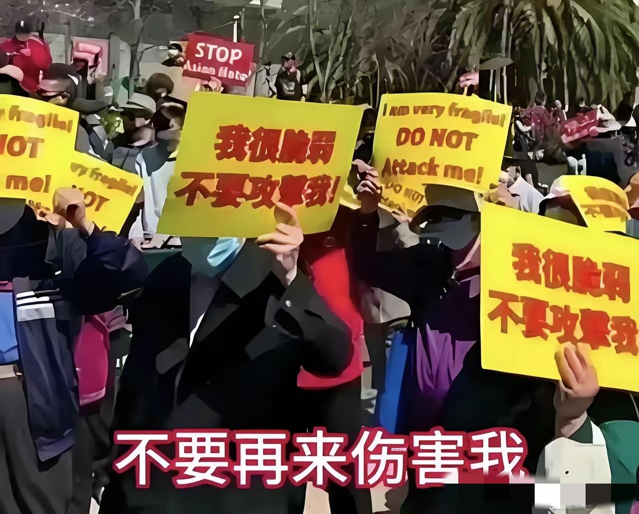 白人有了奴役黑人的经验，一直致力于也把黄种人驯化成低等人，而且已经成功了，看看美