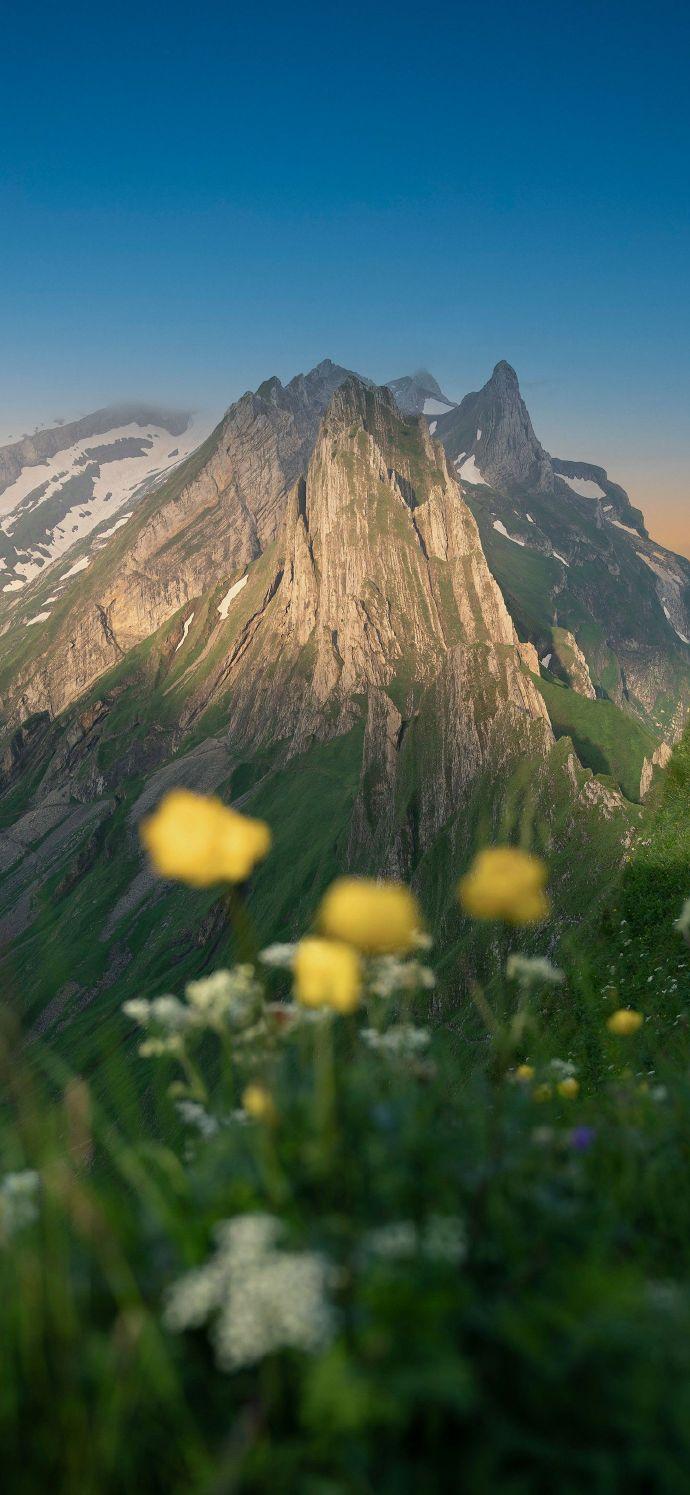 一位老中医的叮嘱："只要你慢得下来，只要你等得起，只要你不比较，只要你能忘记，