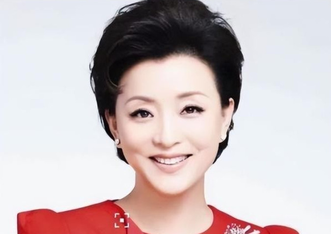 1994年，吴征斥巨资500万买下一艘游艇，将杨澜接到游艇上大胆表白，杨澜说：“