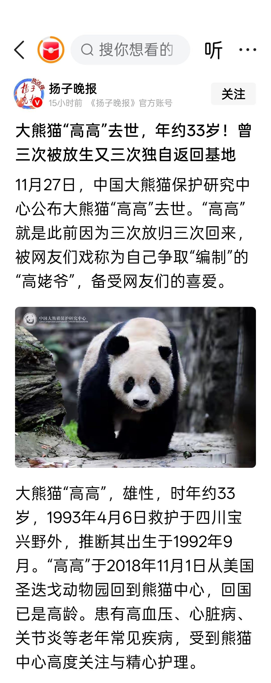 大熊猫“高高”去世，年约33岁！曾三次被放生又三次独自返回基地，被网友们戏称为自