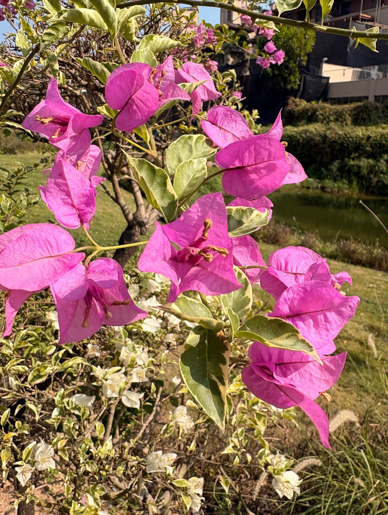 没有想到，在家里躺平，也会被别人指指点点。失业半年多了，一直在家休息，经