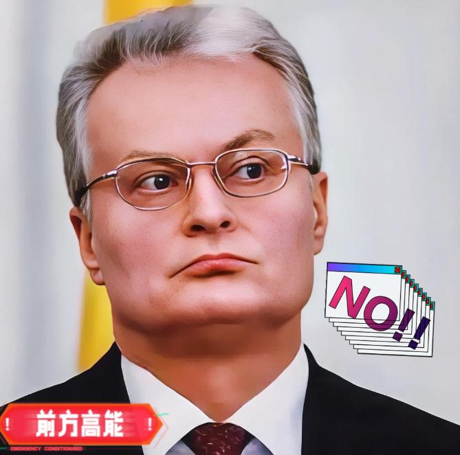 2025年10月，立陶宛能源部长瓦伊丘纳斯在接受当地广播电台采访时也宣布，将禁止