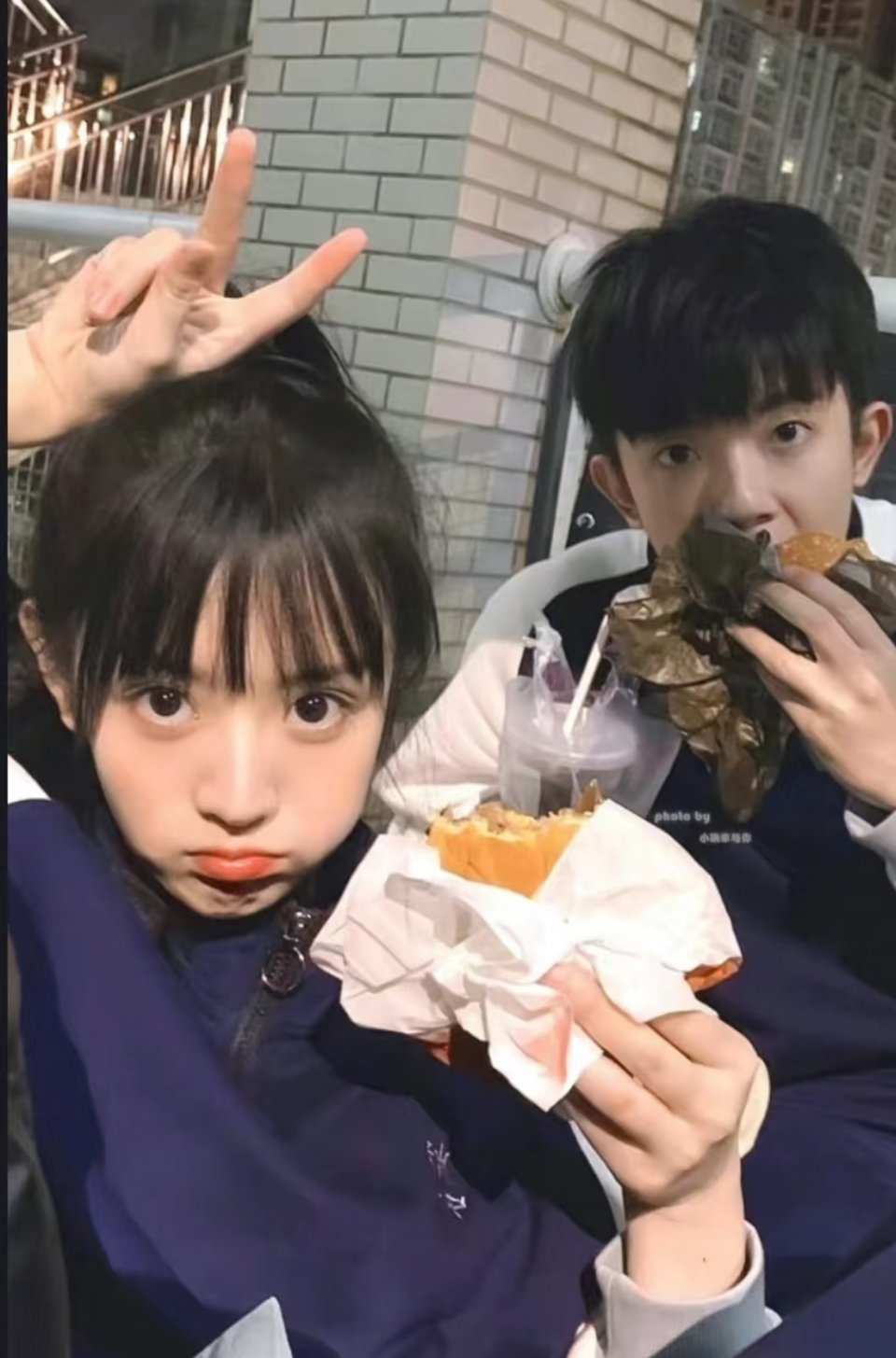 猫的树升咖只能说猫的树从橘子到小飞奔真的是用实力站稳脚跟所以说作品才是上桌的底