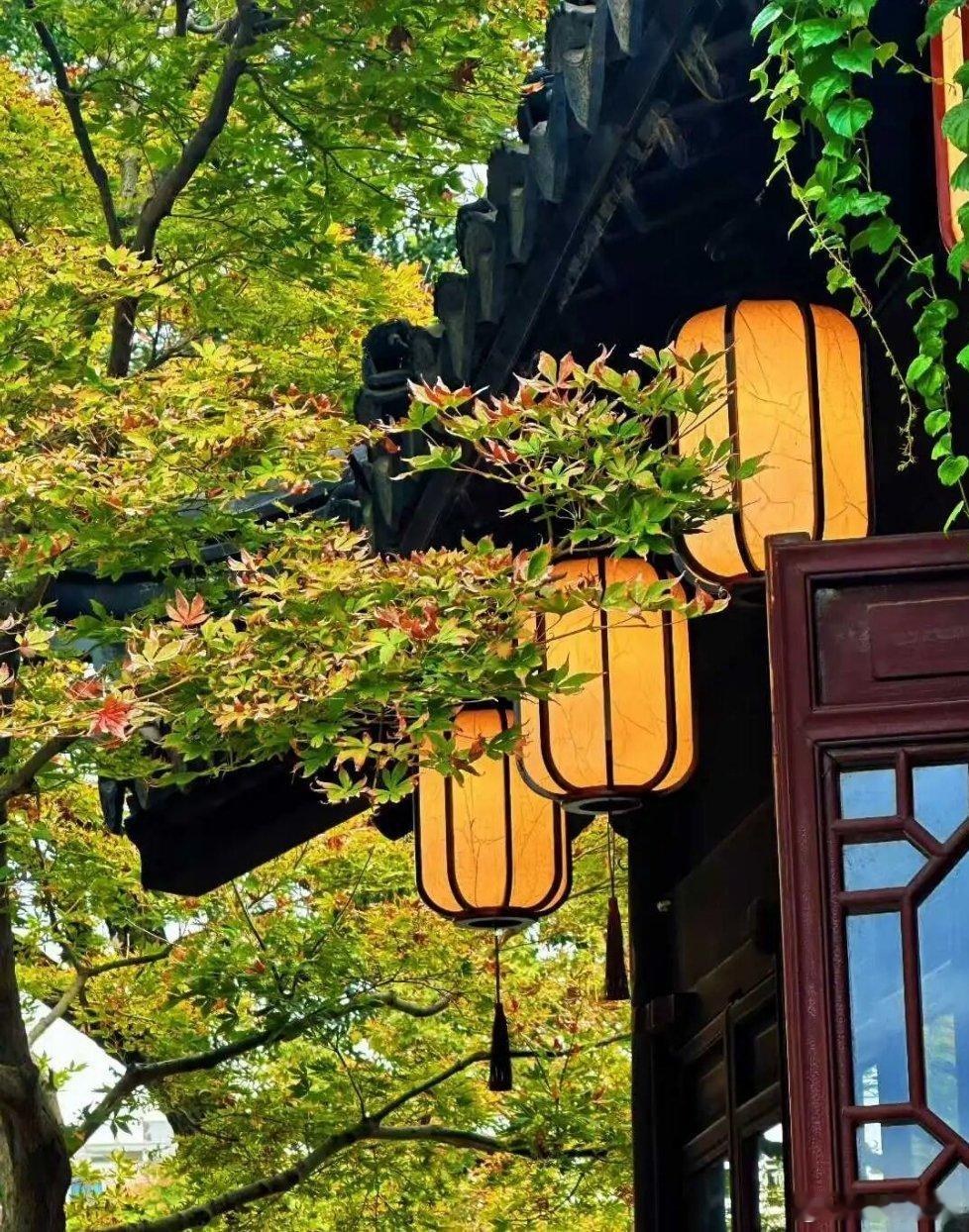 马云有句话说得挺有意思，父母最大的成功，不是把孩子送进985、211，而是培养出