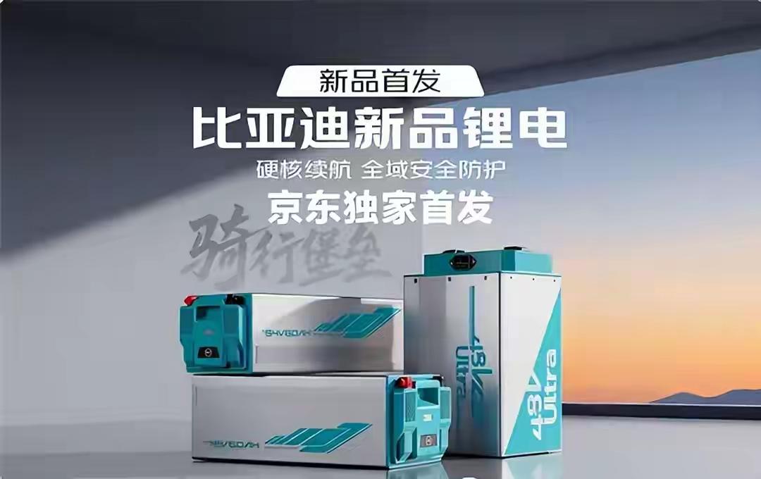 两年一换vs十年一换。铅酸电池用户交完第五次换电池钱的时候，比亚迪那块电池
