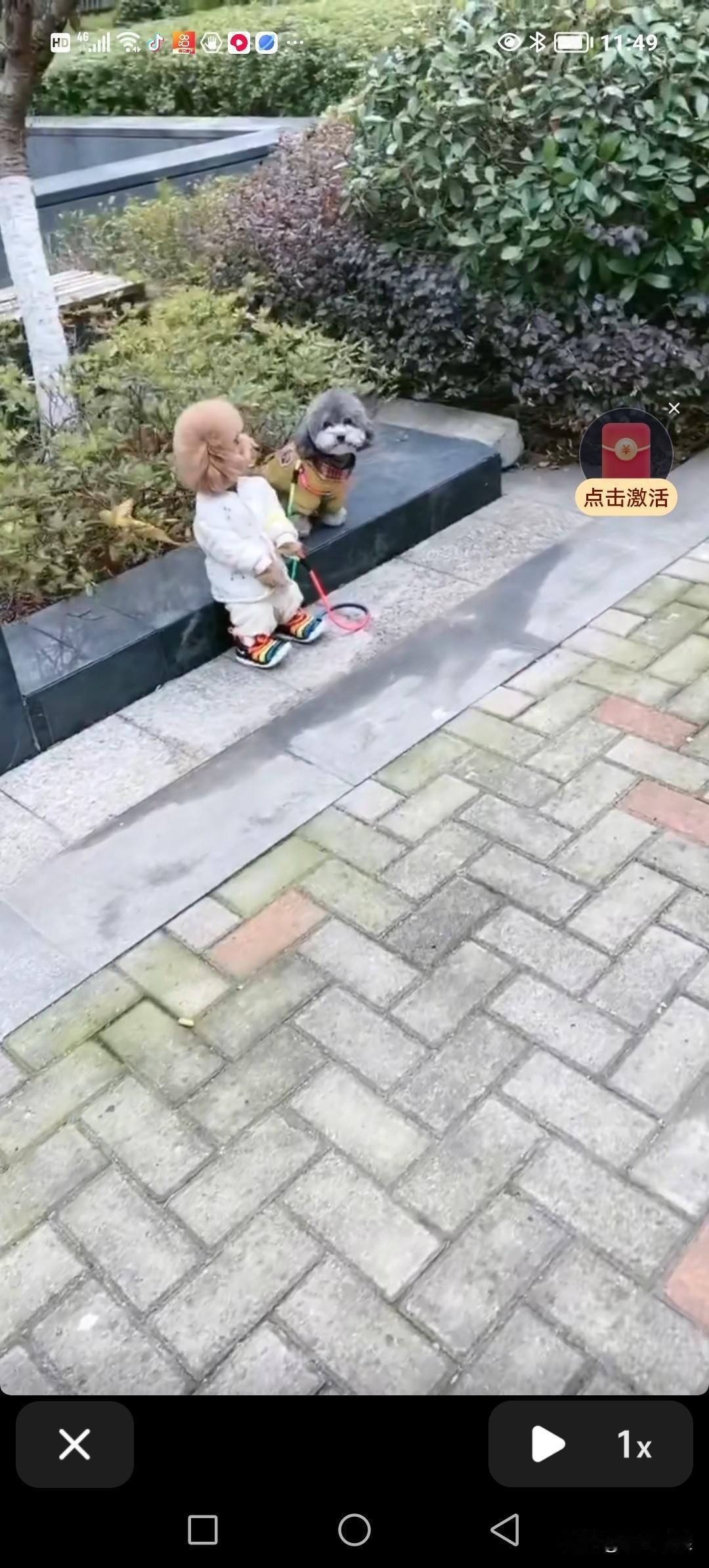 两只一看就是被有钱人养着的小萌宠，被绳子拴在一起后，被丢弃在了路边。它们小眼睛环