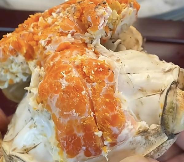 这次美国真的是有点“恐慌”了，美国人居然在俄勒冈州的淡水区里发现了一只大闸蟹！