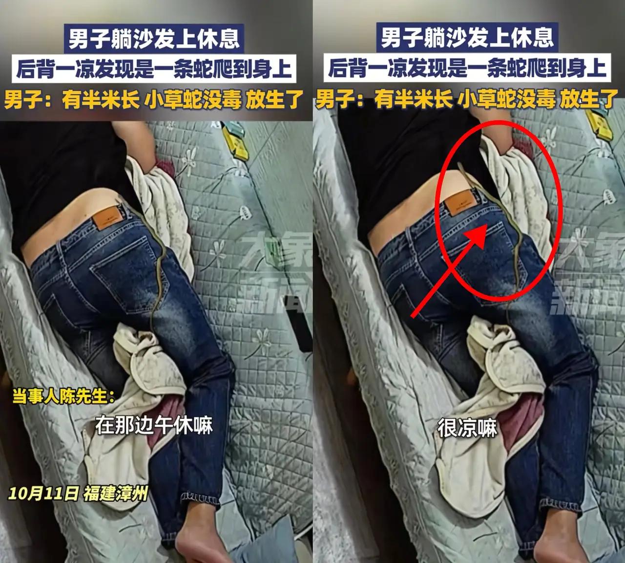 万万没想到！福建漳州的这个男子，刚刚经历了平凡又疲惫的一天，回到家中，放松在沙发