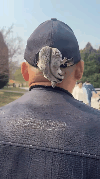 今天走路的时候，碰到一个大哥，给我稀罕坏了！他脑袋上趴着个小动物，看着像松鼠