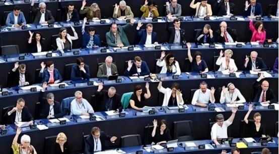 真是离了个大谱！欧洲议会居然上演了一出极其荒诞的政治闹剧，503票赞成，仅9票反