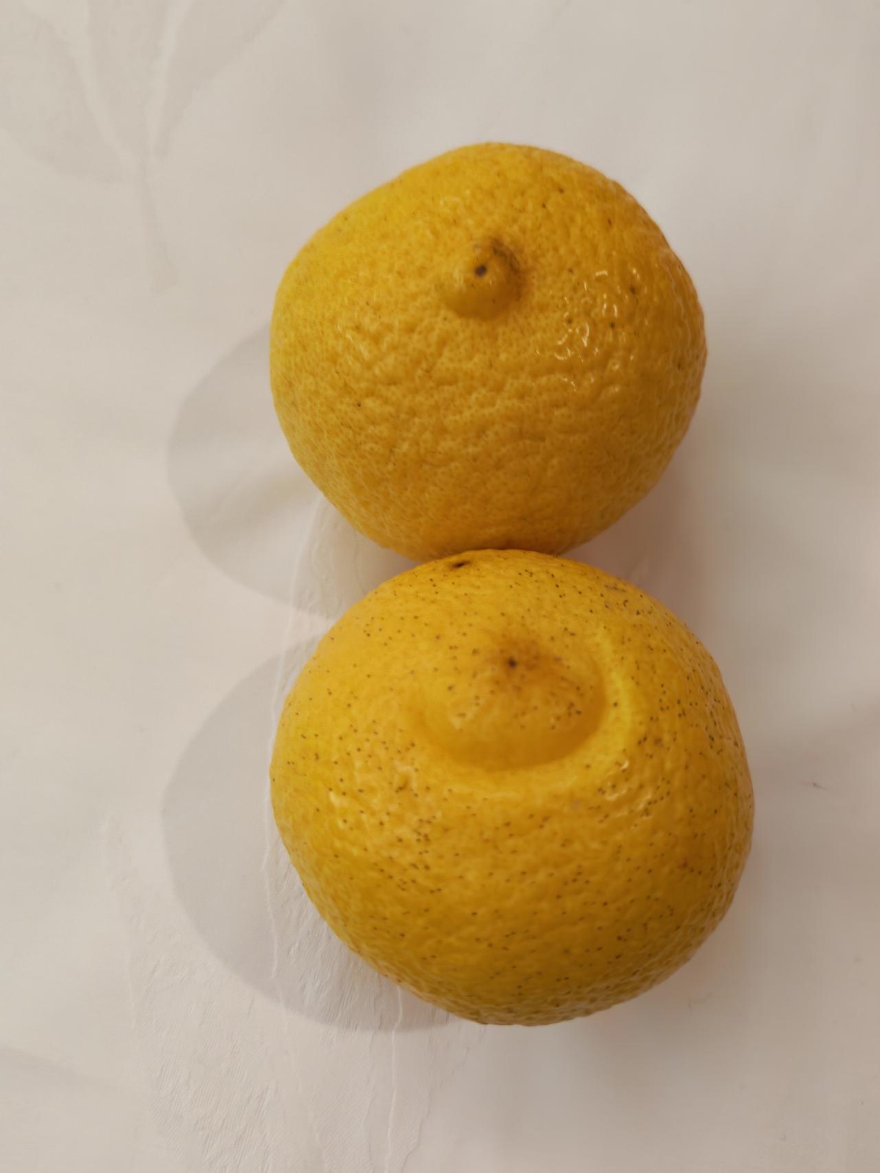 “柠檬的表哥”是什么水果？昨天我买到了一种奇怪的水果，看着是柠檬，剥着是橘子，吃