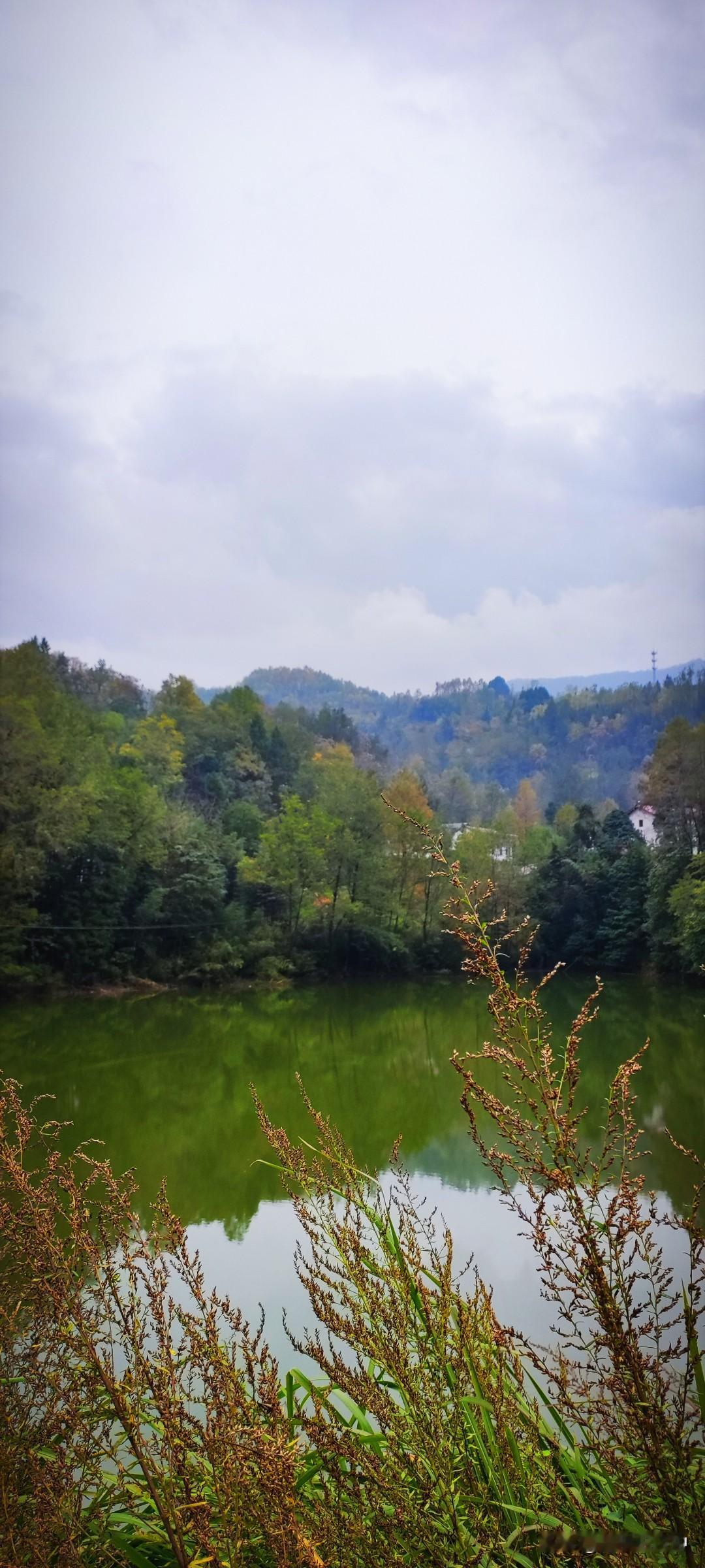 冬日生活打卡季阴天的风景才是最美的。远山穿插在云层里，小池映着树影，风啊轻轻的摇