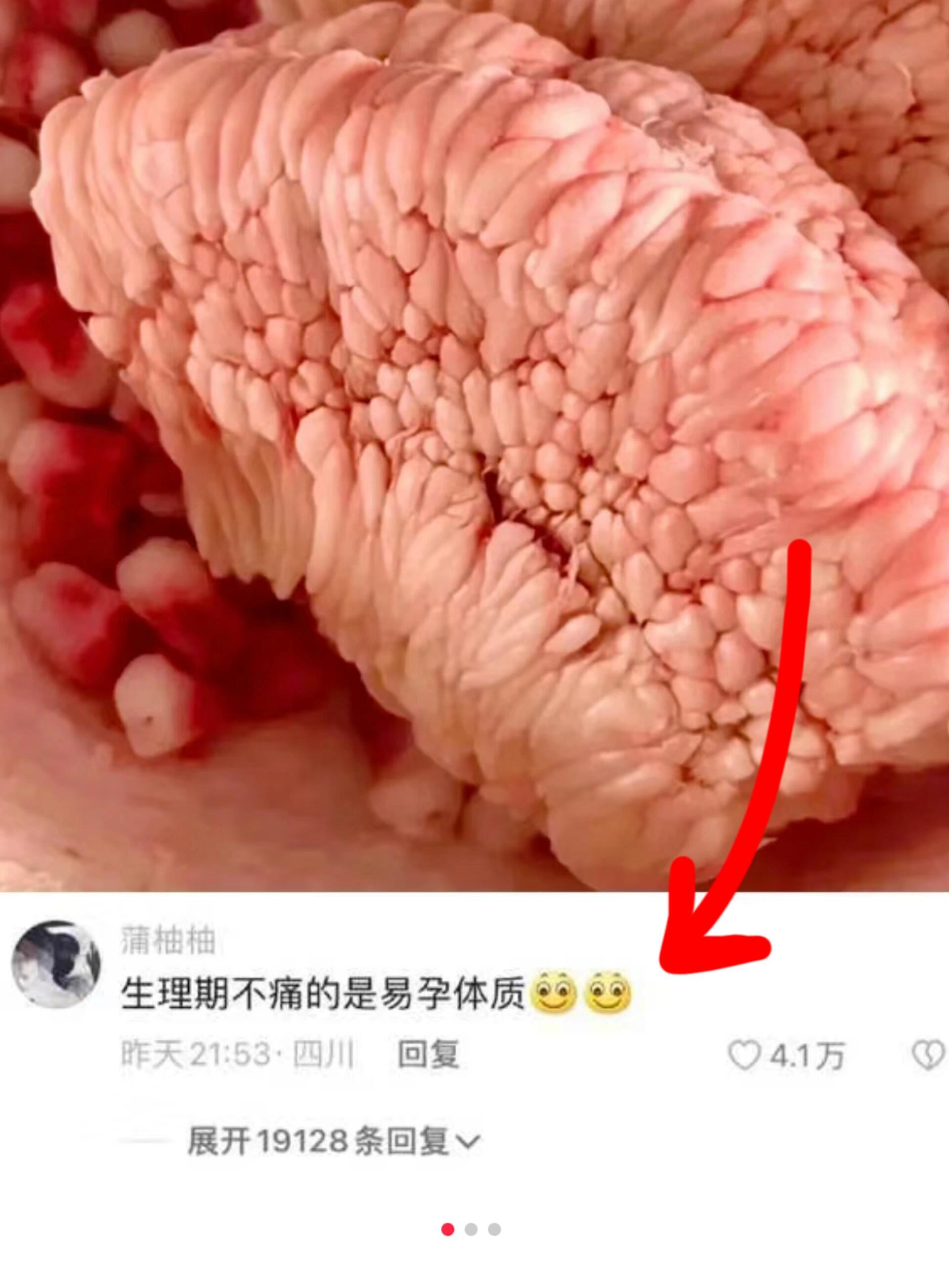 第一次对怀孕冷知识肃然起敬