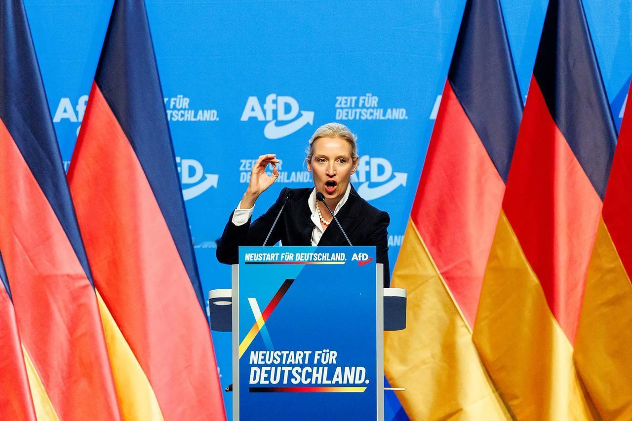 路透社今天报道：“德国选择党（AfD）正考虑缓和该党长期以来反对欧盟与欧元的立场