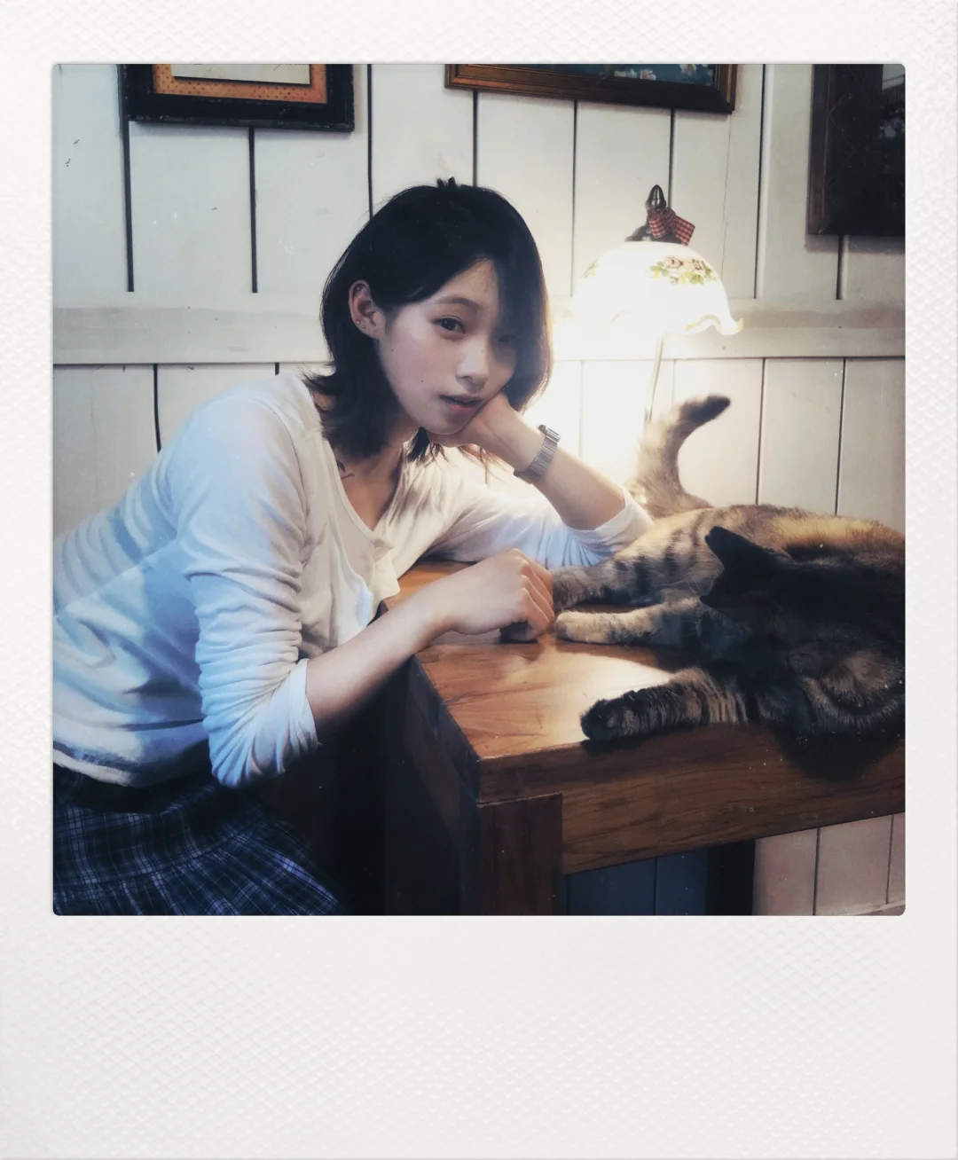 小猫