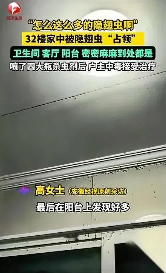 隐翅虫入侵32楼！喷4瓶杀虫剂竟害老公中毒？安徽宿州的高女士没想到，一场