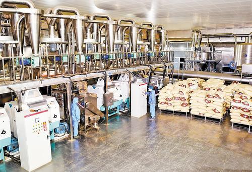 望都让辣椒香飘世界