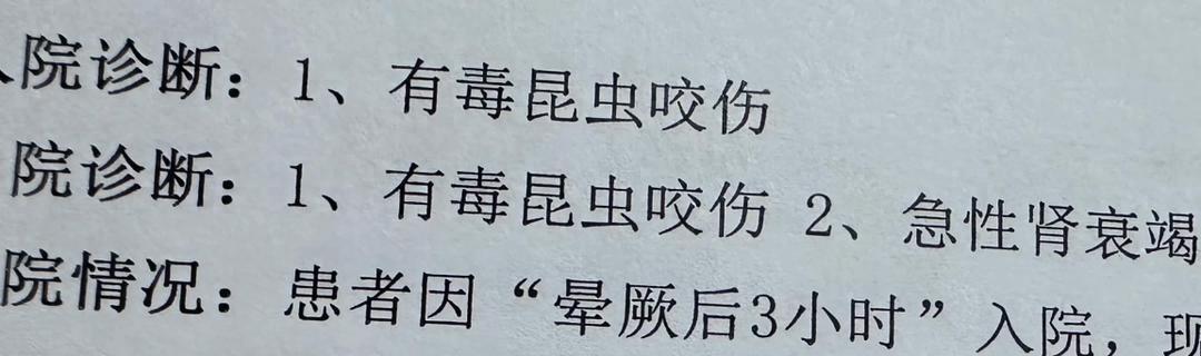 女子穿洞洞鞋遭蚂蚁叮咬 呼吸困难