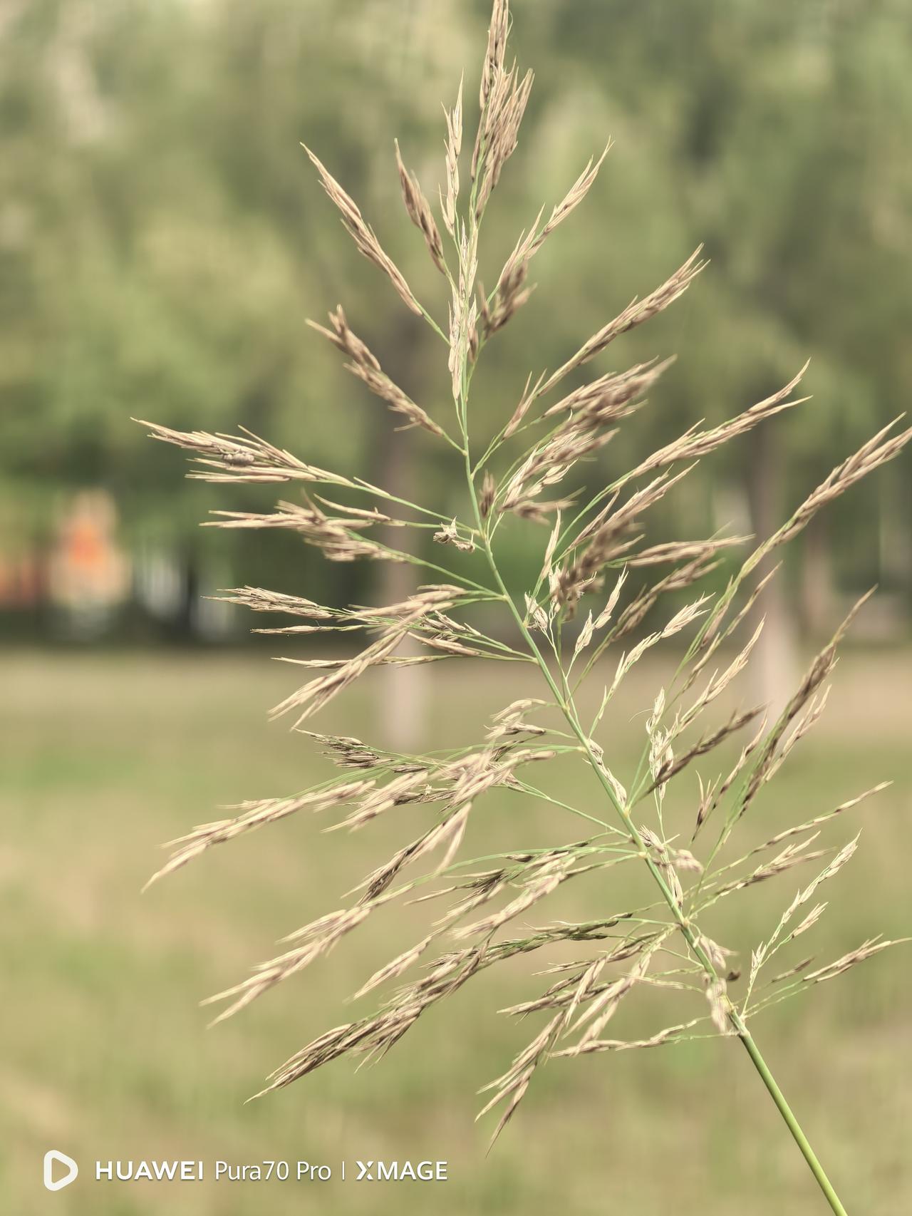 又坚持了三个月的运动加饮食控制，到医院做了个血检。低密度脂蛋白2.56，比上次检