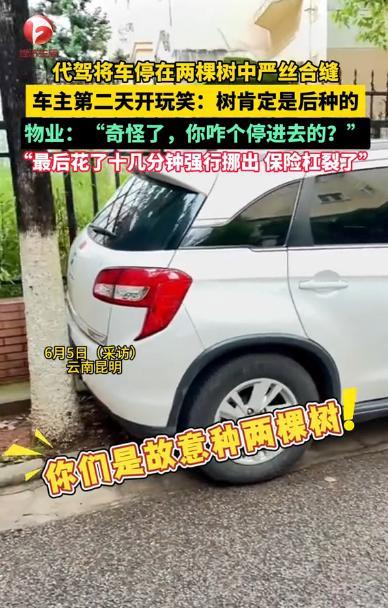 “说出去都没人信！”6月5日，云南昆明，一男子喝酒后找了代驾，等回到小区后，车位