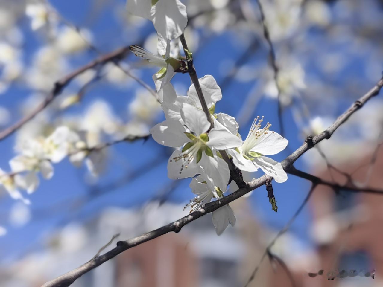 我今年54岁，已经退休三年了，说实话，我现在真不羡慕上班的人。我上班的时候，