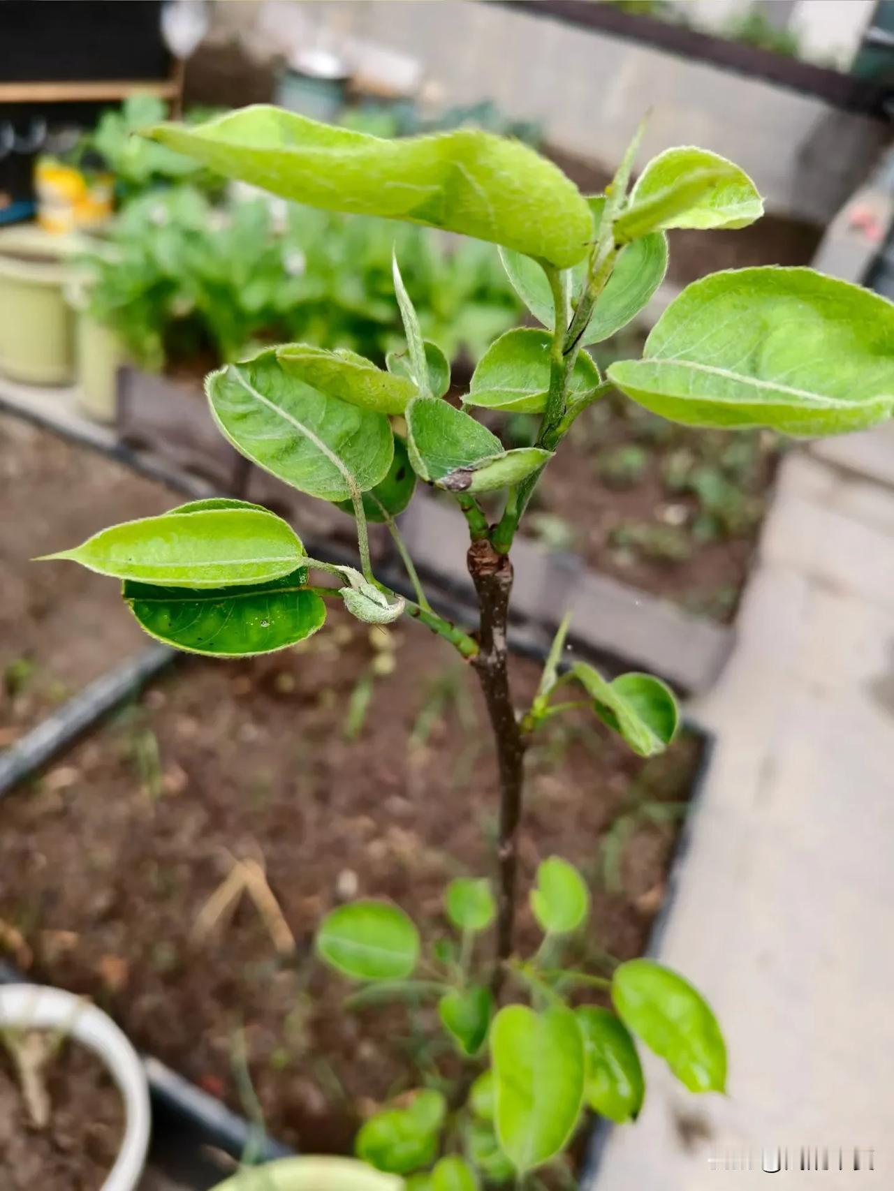 男人爱不爱你，这3个细节就能看出，装都装不出来真正的爱，从来都不是挂在嘴上