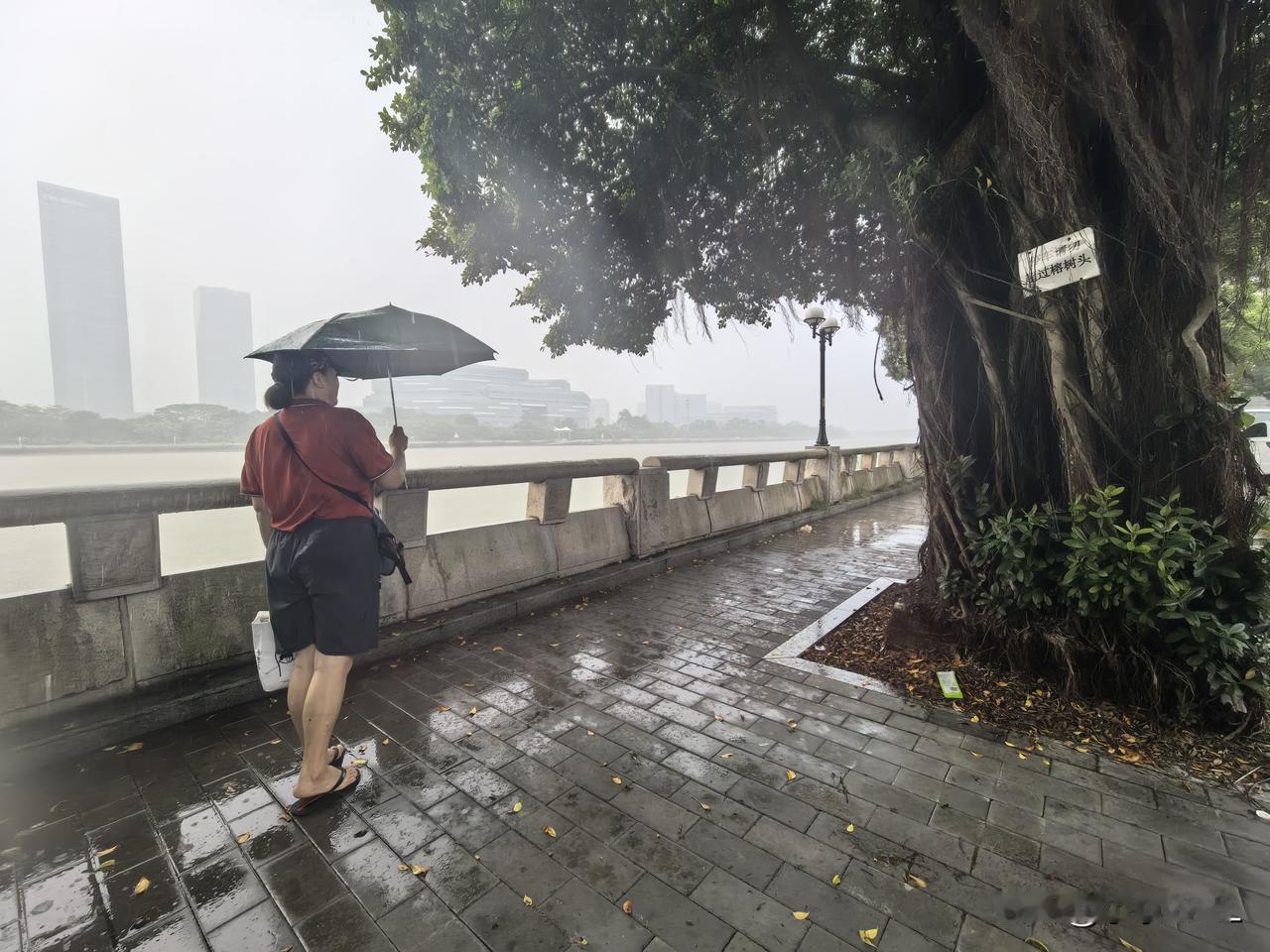 地铁十二号线北山站到仑头古村喝早茶为什么很多广州人喜欢早上喝早茶地铁十二号线