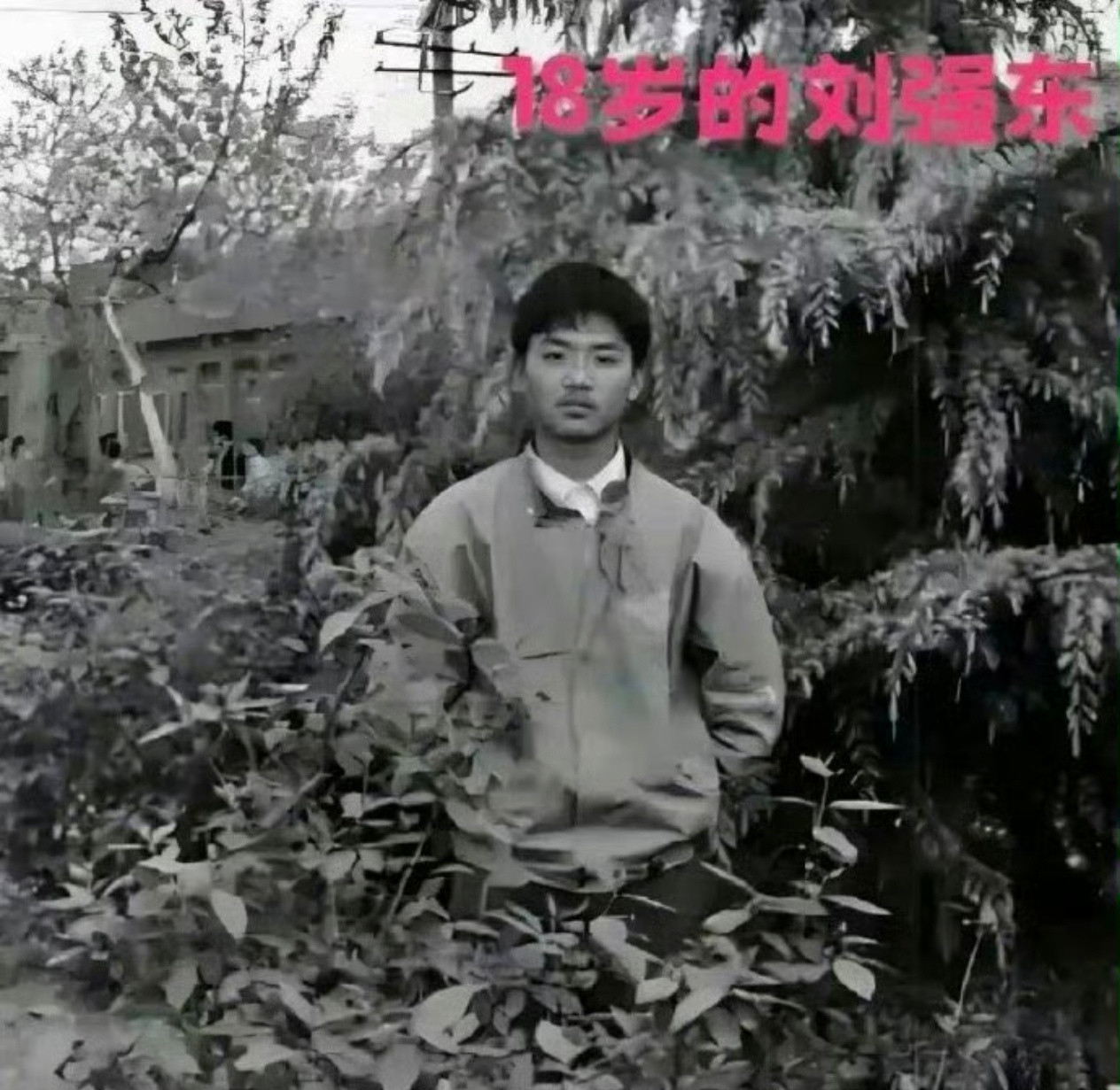 18岁的刘强东当时肯定不会想到，18岁就美若天仙的清华校花章泽天以后会嫁给他！
