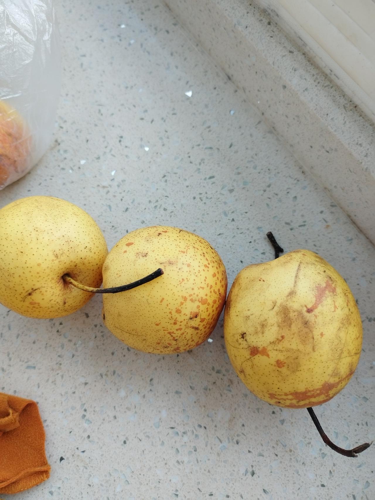 这次去北镇旅游赏梨花，我不是住在了医巫闾山脚下了嘛，然后路边就有当地农民卖东西的