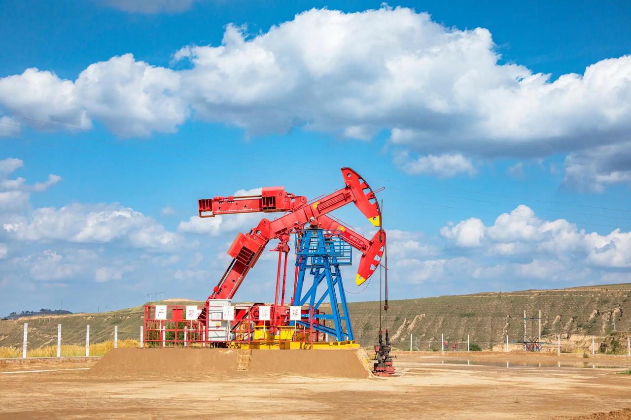 法国《世界报》精准点出：中国是全球最大石油进口国，约三分之一的石油进口都来自海湾