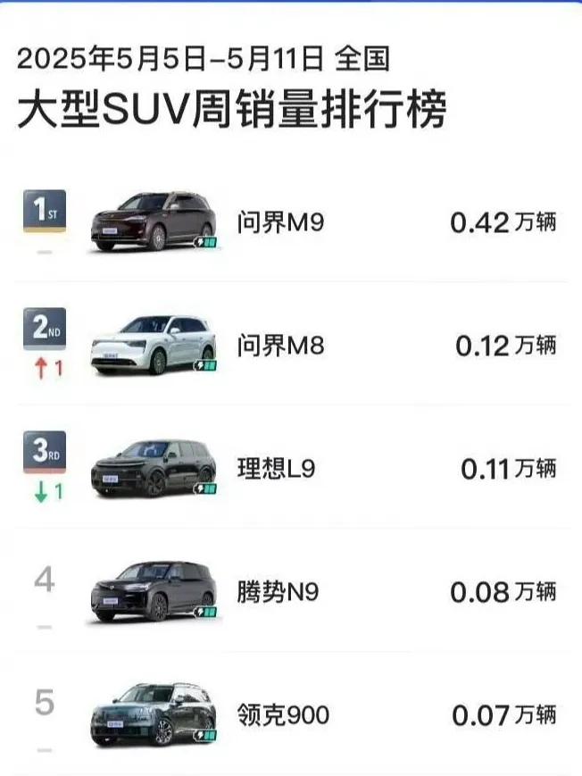 在大型SUV这个榜单上，曾经的领头羊，理想已经失去了竞争力，未来进前三都有难度。
