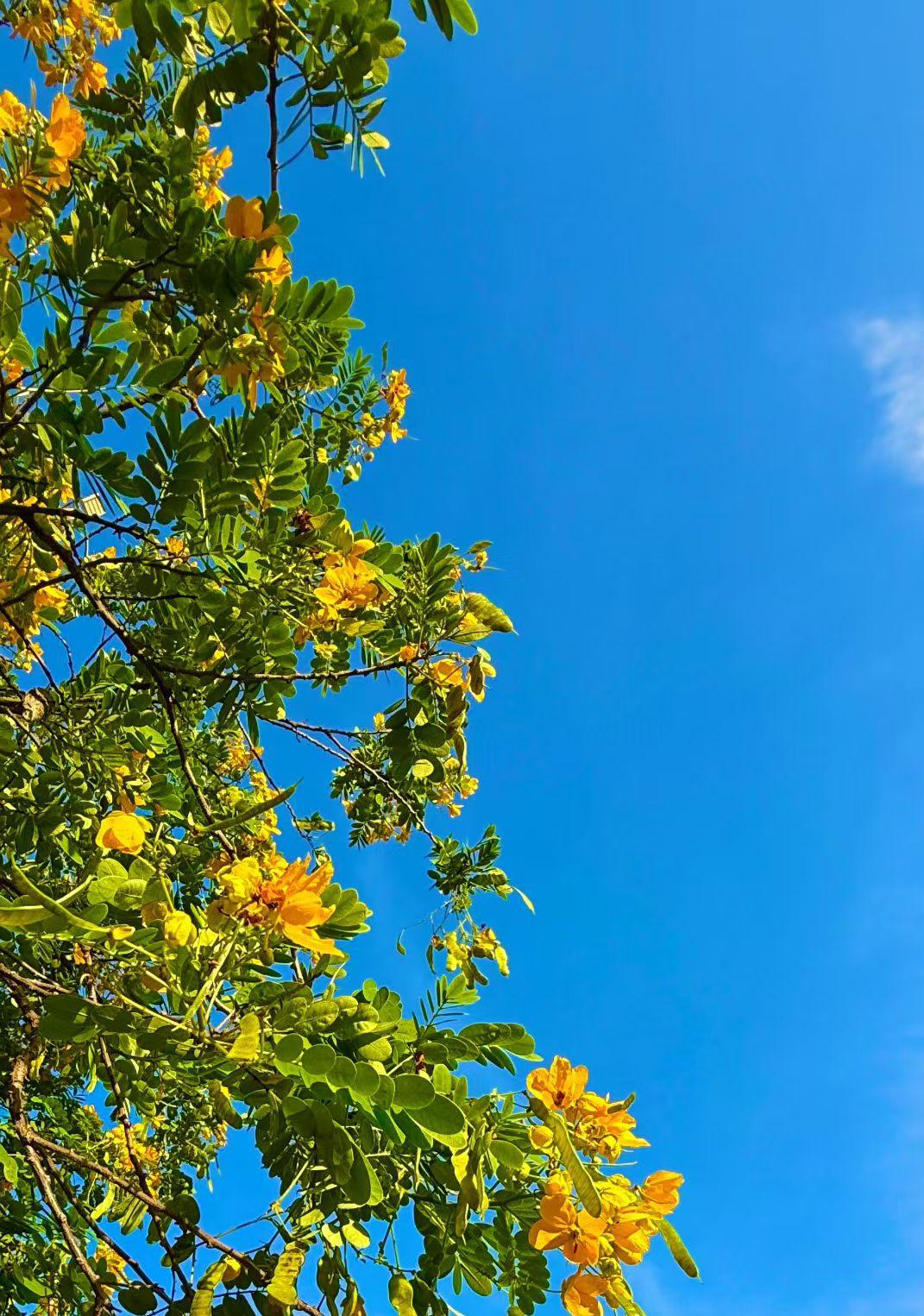 兑个彩票真是太费劲了天上掉馅饼，我不小心中了1000万的彩票，