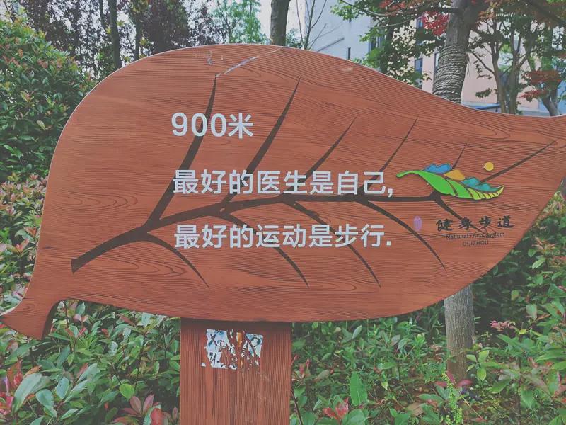 当了40年教师才明白的道理：1、桃李满天下不重要，自己身体健康才重要。干工作