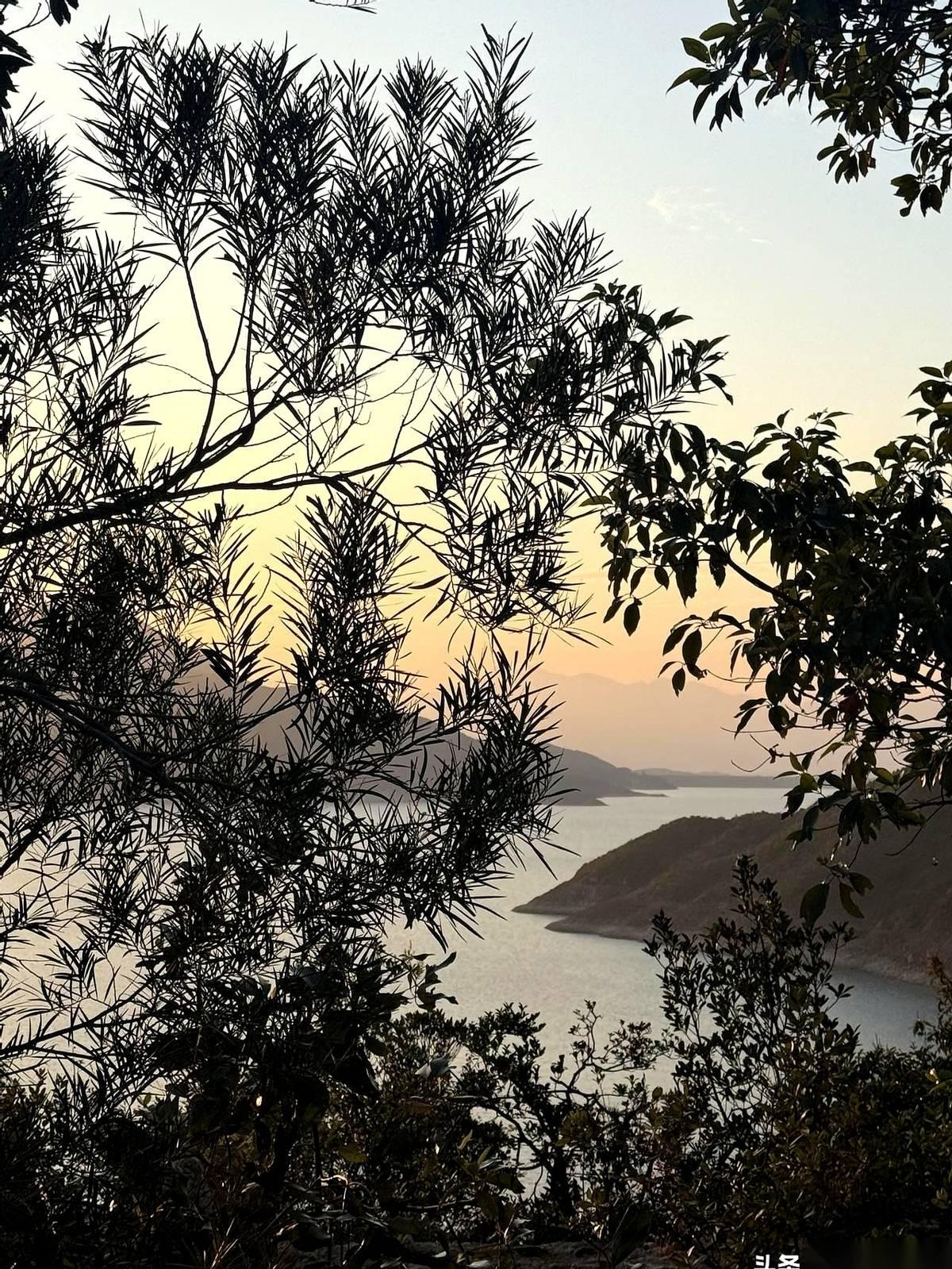 自己的午饭，几根面条一把青菜，趁孙女睡着了呼噜呼噜就扒拉完了。给儿子儿媳的周末