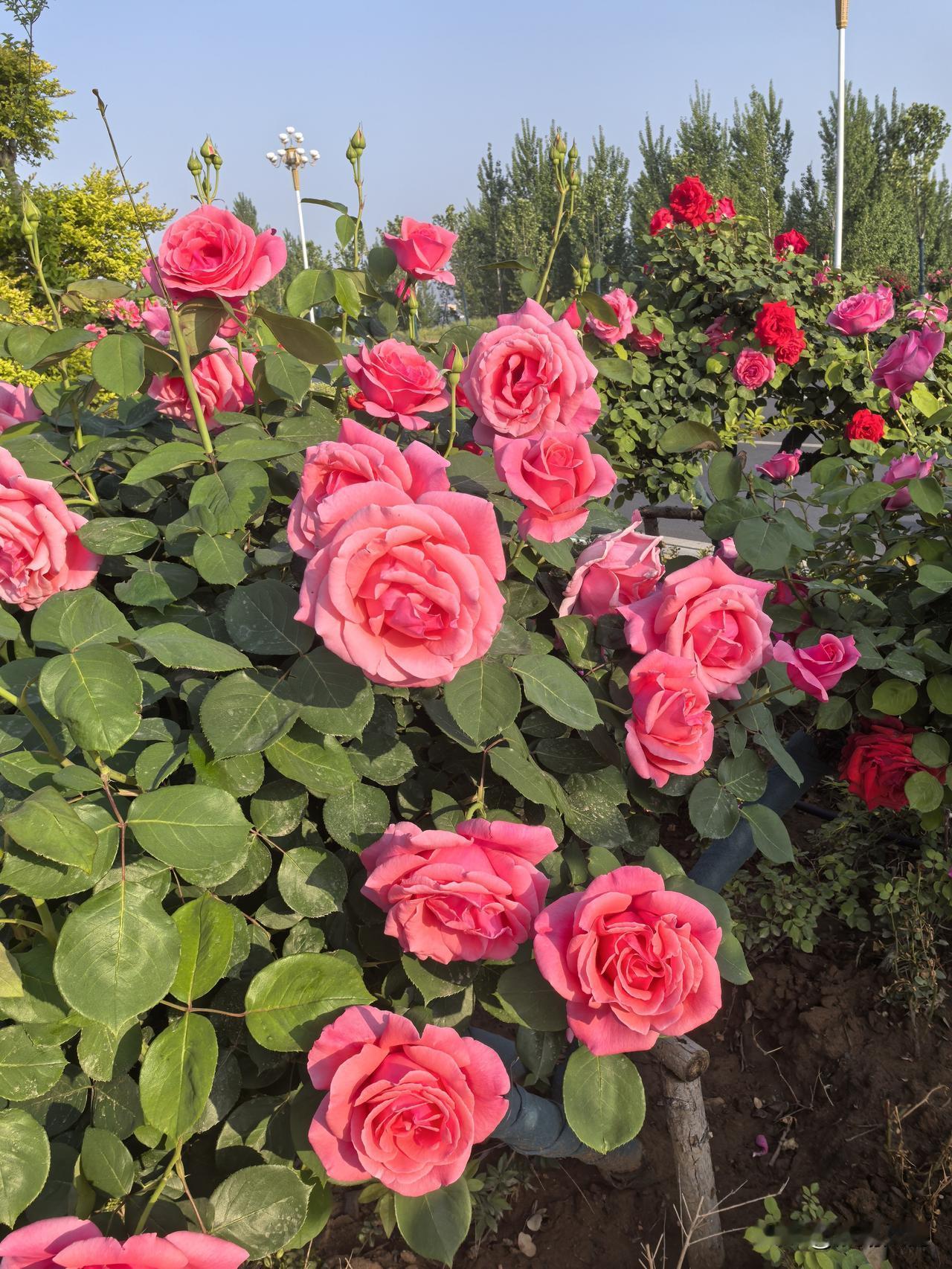 我老公的侄女，花10来万读了个大专。毕业两年换了三份工作，然后就没有然后了。