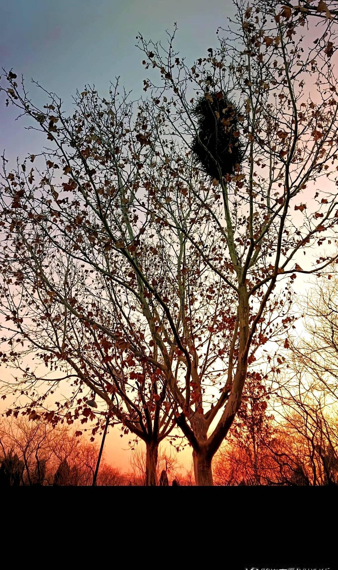 朋友圈今天被一则“同学三婚三离”的长帖刷屏，发帖人复盘了一位女同学的感情履历——