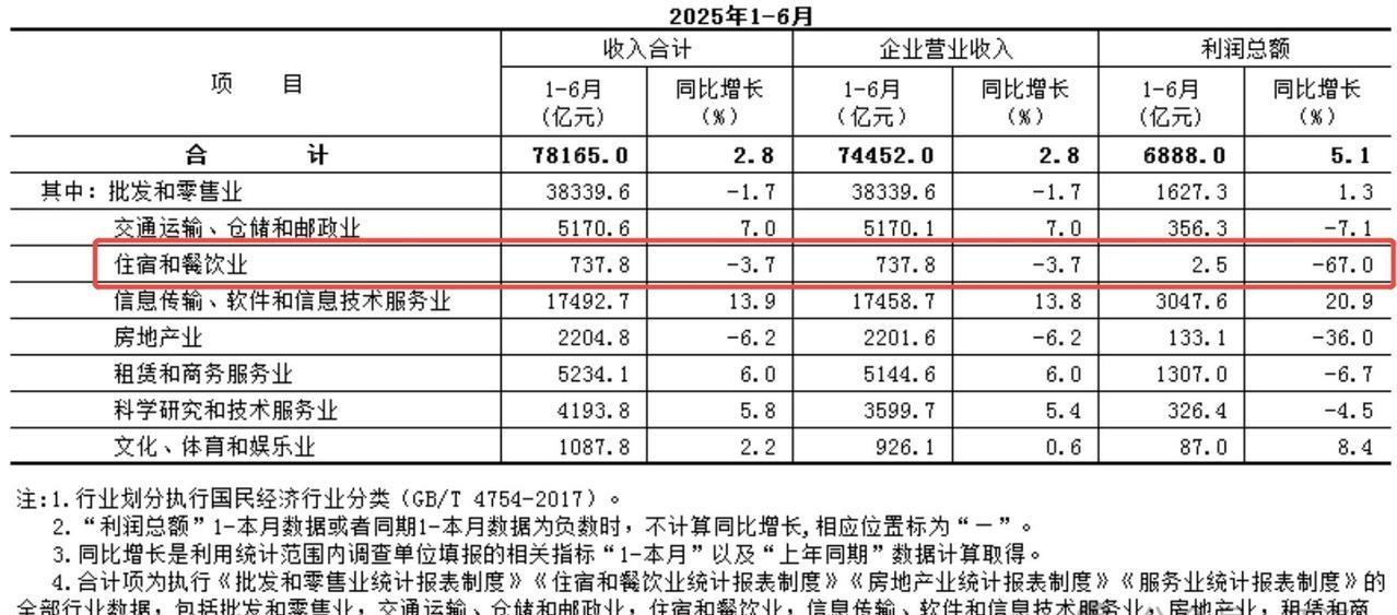 这还是禁酒令影响还没真正凸显的上半年[抠鼻]2025年上半年北京住宿和餐饮业利