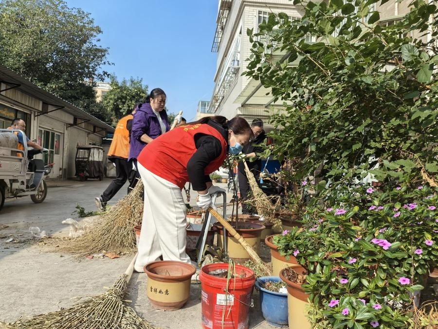 仙营街道南岱社区开展环境卫生专项整治活动