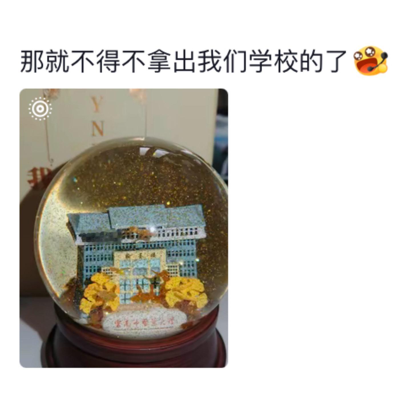 原来大家都有毕业纪念品