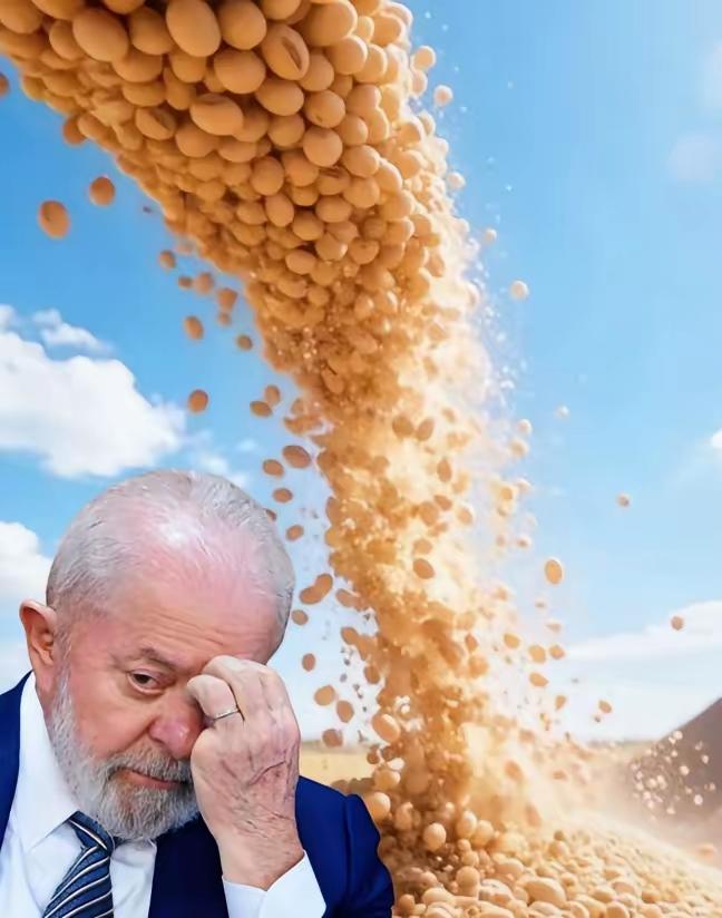 巴西大豆价格攀升至650美元/吨，这让巴西大豆商欣喜不已——他们笃定中国对大豆需