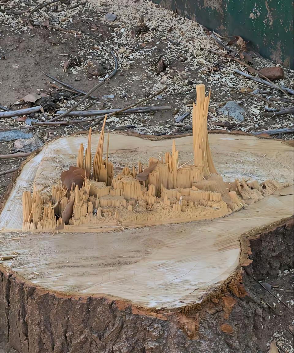 能把一个烂木桩打造成一座城堡的，非这图莫属。太震撼了！