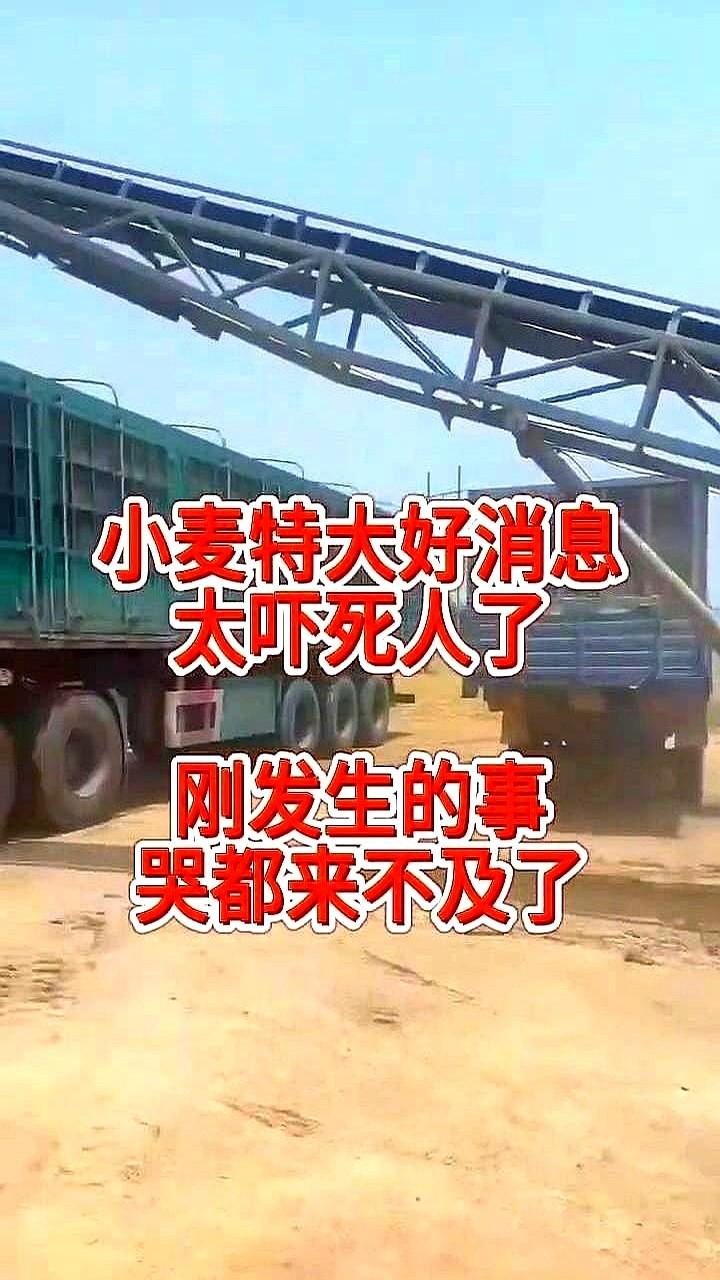 农户千万注意了！小麦特大好消息，太吓死人了，刚发生的事哭都来不及了。这粮贩子