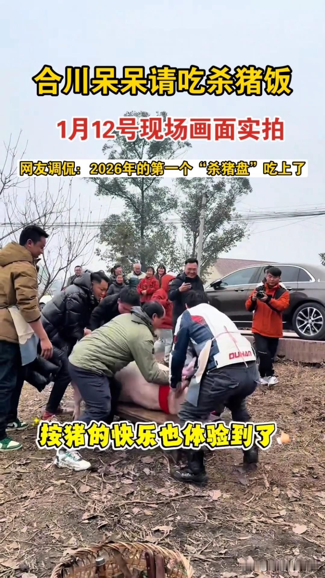 呆呆发布的杀猪宴为啥会那么火？不是因为呆呆长的漂亮，也不是因为她撞上了风口，