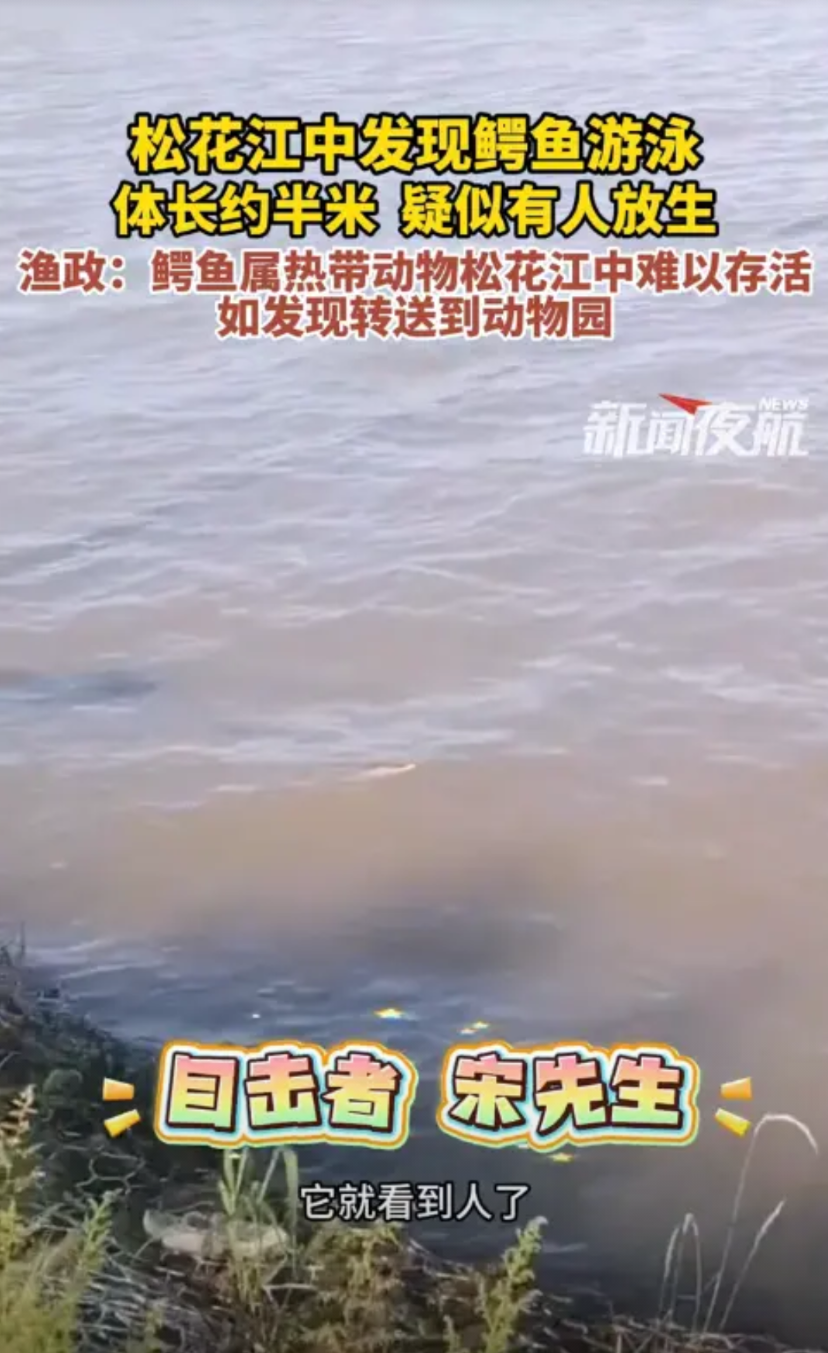 “无知真可怕！”黑龙江哈尔滨，一男子在松花江边散步时，突然听到“扑通”一声，好像