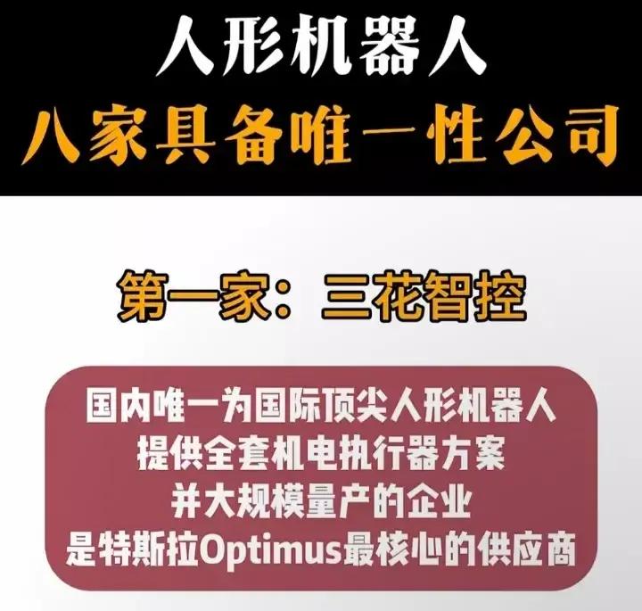 “人形机器人八家具备唯一性公司”，分别介绍了在人形机器人领域各具独特技术优势和