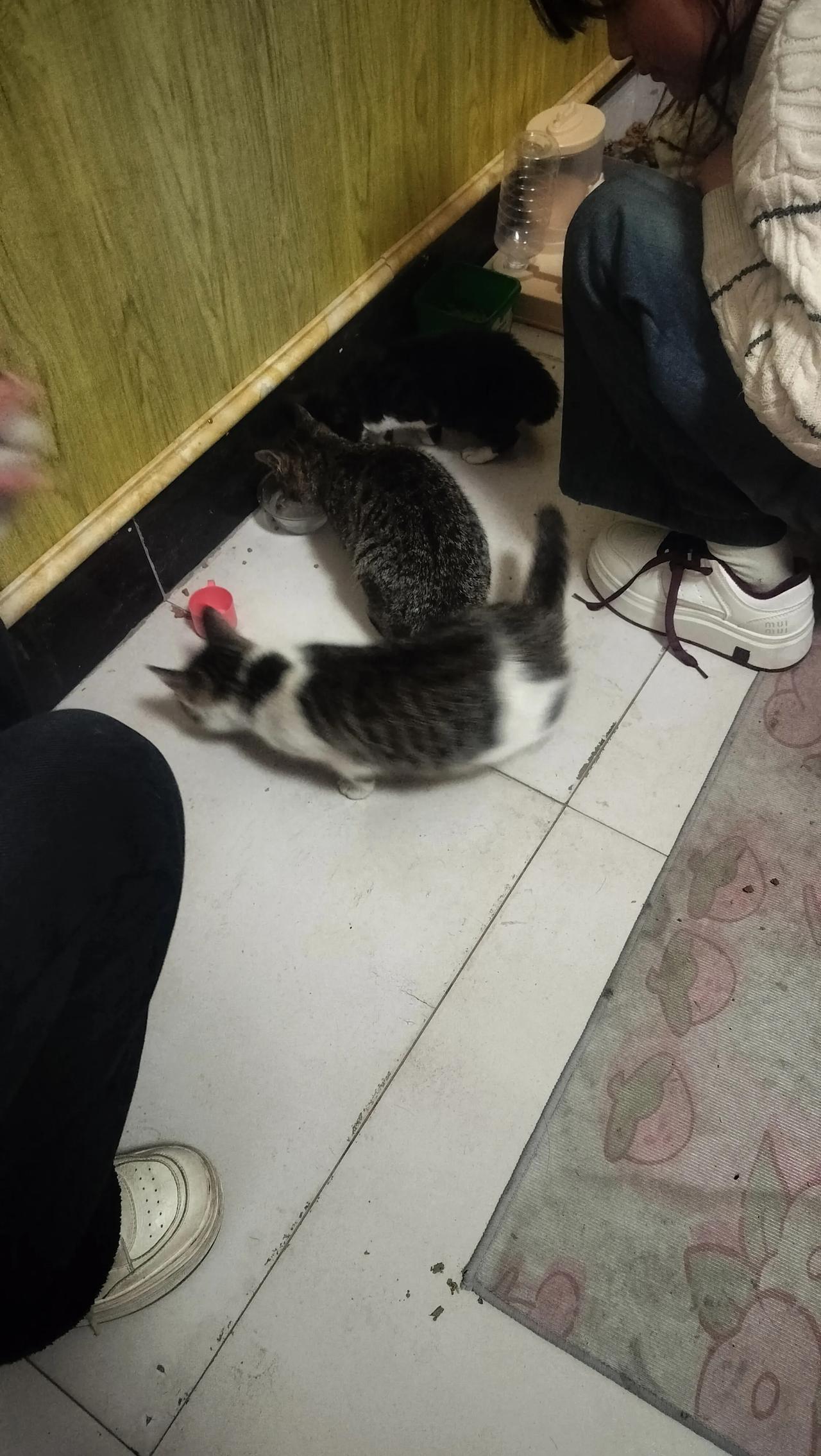 马上过年了，我问了一下儿媳妇你妈妈上班什么时候放假?儿媳妇的脸顿时沉了下来说：前