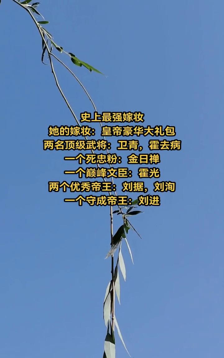 史上最强嫁妆。她的嫁妆：皇帝豪华大礼包。两名顶级武将：卫青、霍去病。一个死忠粉